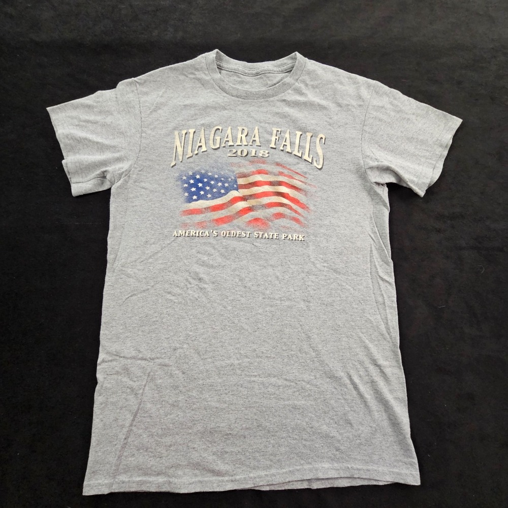 Niagara Falls State Park 2018 Gray Short Sleeve T-Shirt Men's S